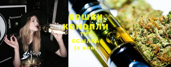 PSILOCYBIN Абдулино