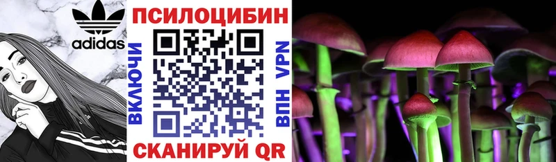 Галлюциногенные грибы MAGIC MUSHROOMS  где купить наркоту  Шахунья 